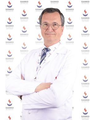 Prof. Dr. Mehmet Zileli